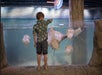 A young boy watches the stingrays glide through the water.