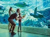 SeaWorld Orlando in Orlando, Florida
