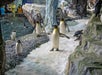 Several penguins walking on ice and swimming in their enclosure at SeaWorld in Orlando, Florida.