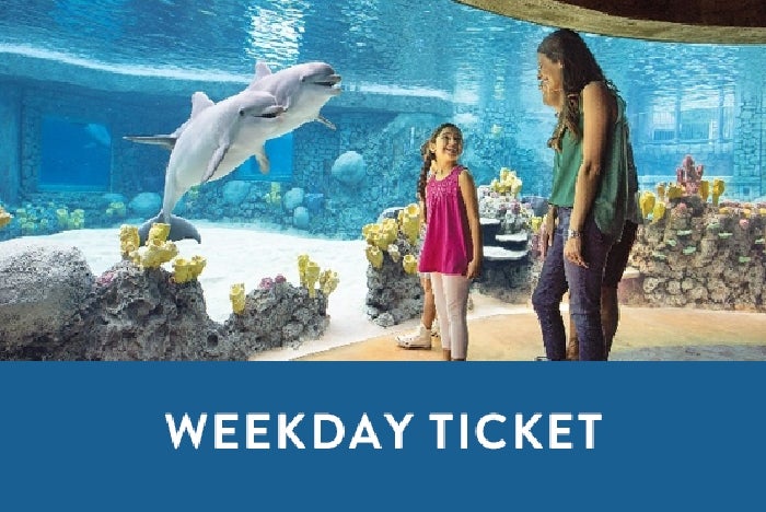 SeaWorld Tickets Orlando Deals Packages