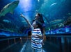 A woman and a child walk through an aquarium tunnel, looking up and pointing at a shark swimming overhead.