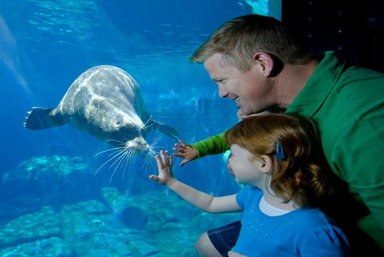 SeaWorld San Diego in San Diego, California