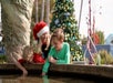 A woman in a Santa hat and two children lean over the edge of a fountain near a decorated Christmas tree outdoors during the day.