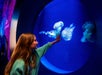 A girl in green reaches toward illuminated jellyfish in a large circular aquarium display.
