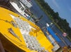 Sea Screamer- Myrtle Beach Dolphin Cruises in Little River, South Carolina
