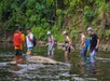After the kayak is done, guests will start their hike through the trail going to the secret waterfalls.