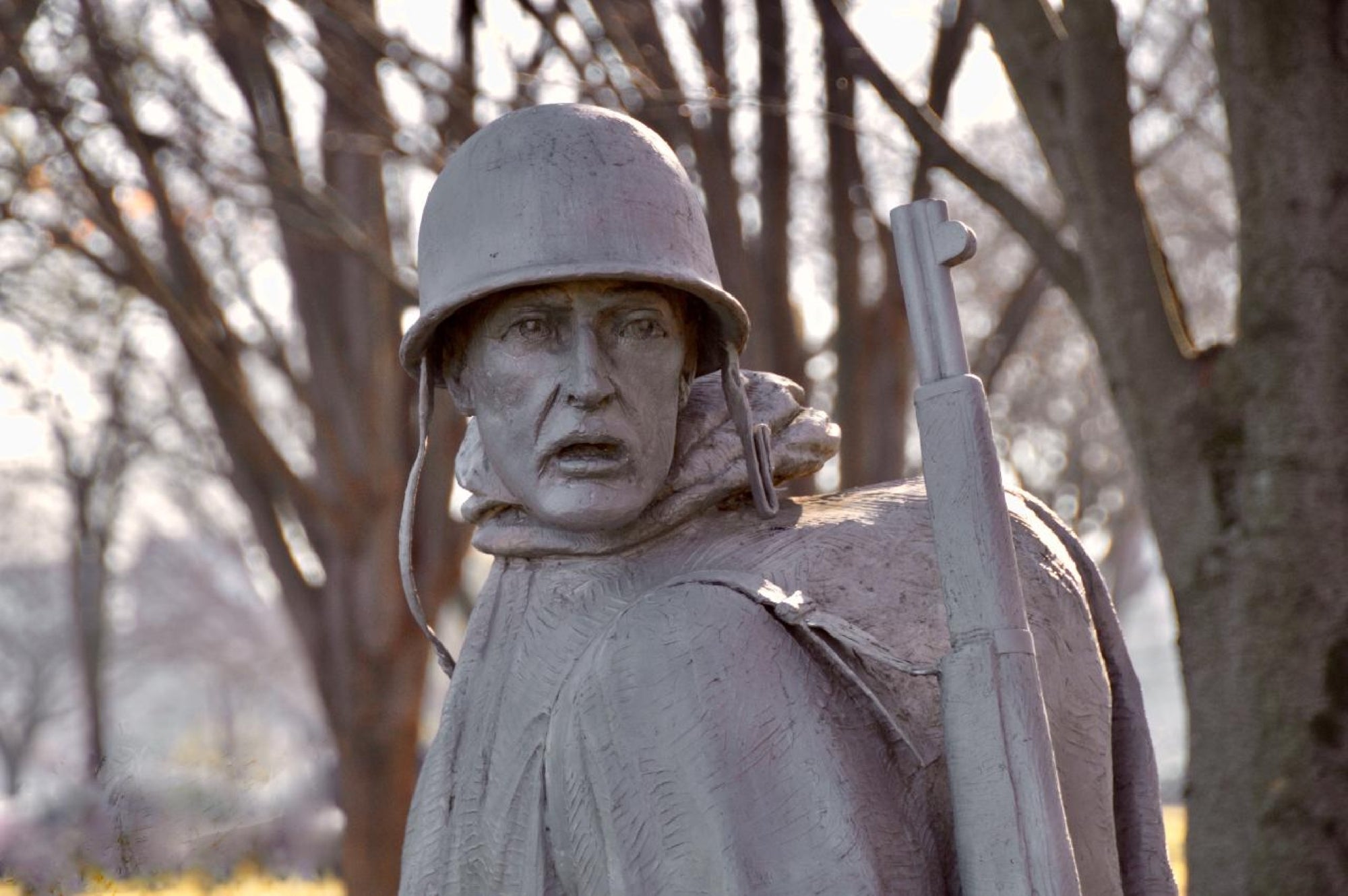 Silent sentinel, solemn gaze—honoring courage at DC’s powerful Korean War Memorial.