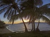 Lahaina Sunset Segway Tour