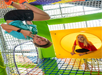 Children playing at the trampoline park.