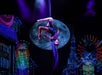 Performers fly across the stage at the Mickey Gilley Grand Shanghai Theatre in Branson, MO.