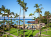 Beachfront resort surrounded by palm trees.