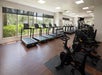 A modern gym with treadmills, stationary bikes, and large windows letting in natural light, featuring wood flooring and views of greenery outside.