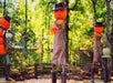 Three scarecrows with pumpkin heads, hats, boots, and aprons stand outdoors. One plays a trumpet made of orange lights. Trees and a wooden fence are in the background.