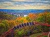 A roller coaster with riders moves along a curved track above a forest of autumn-colored trees under a cloudy sky.