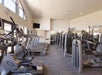 A gym interior with treadmills, ellipticals, and weight machines. Large windows on the left let in natural light.
