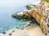 Aerial view of the a rocky beach with hundreds of birds perched on the rocks and blue green water coming in.