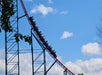 People riding a steep roller coaster on a sunny day with scattered clouds, surrounded by some tree branches.