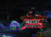 Illuminated "Christmas Tree Forest" sign with colorful lights, surrounded by decorated trees at night.