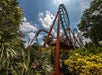 A looping roller coaster with teal and orange tracks twists above lush green plants under a partly cloudy sky.