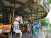 A colorful carousel with intricately designed horses and sea creatures is shown, with a blue and gold canopy overhead. The background features green trees and a fence.