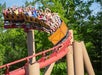 A group of people ride a red roller coaster, raising their arms as the train speeds around a curved track surrounded by green trees.