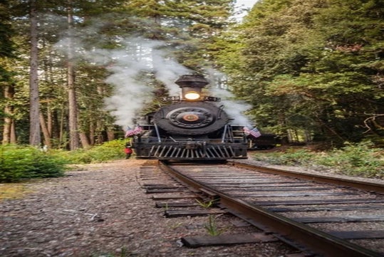 A steam locomotive with its headlight on moves along a track through a forested area, emitting smoke and displaying small American flags.