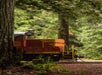 A red train engine car with the number 64 on it driving through a thick forest with Skunk Train in San Francisco, California, USA.