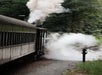 A steam train emits smoke and travels along a curved track through a wooded area.
