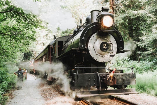A black steam locomotive labeled “2” emits steam on a track surrounded by dense green foliage, with a person standing nearby.