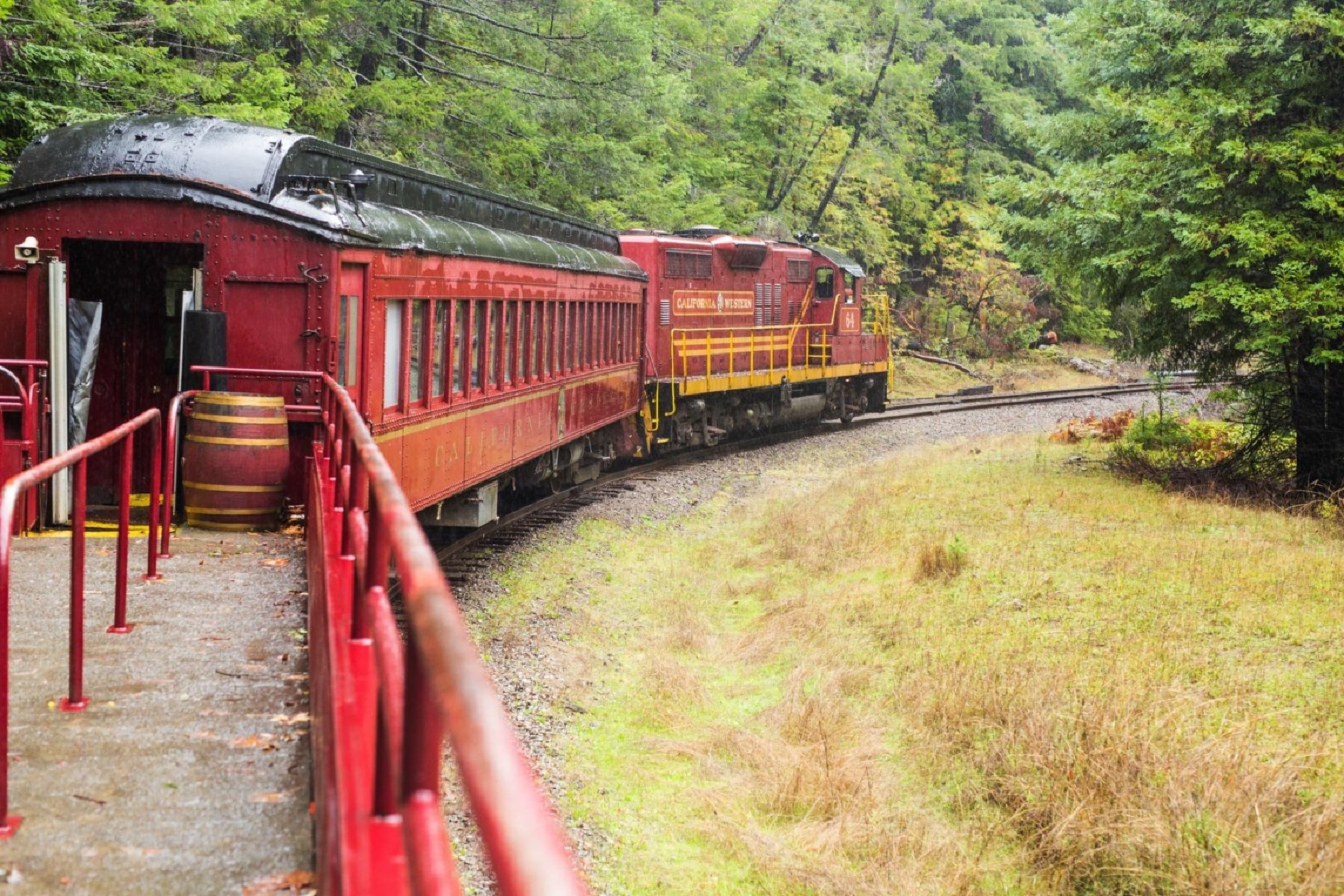 A red passenger train with yellow stripes travels around a bend through a lush, green forest on a damp, overcast day.