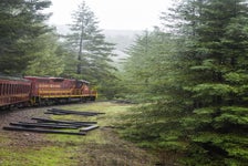 Skunk Train: Wolf Tree Turn from Willits in Willits, California