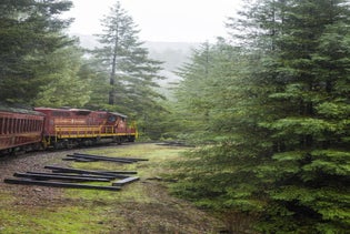 Skunk Train: Wolf Tree Turn from Willits in Willits, California