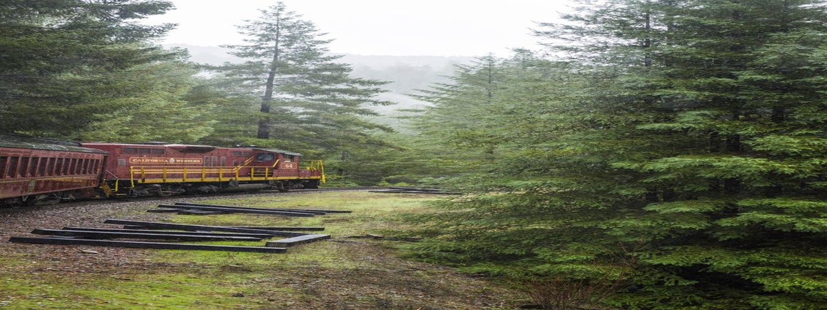 Skunk Train: Wolf Tree Turn from Willits in Willits, California