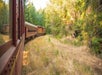A red and yellow passenger train curves through a forested area with dry grass and green trees visible on both sides.