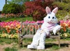 A person in an Easter bunny costume sits on a wooden bench in a garden with colorful tulips and greenery in the background.
