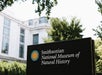Smithsonian National Museum of Natural History Tour