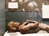 Smithsonian National Museum of Natural History Tour