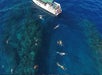 Snorkel Amazing Lanaii - 1/2 Day Snorkel Tour to Lanai with Kaanapali Ocean Adventures in Lahaina, HI