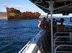 The Famous Shipwrecki - 1/2 Day Snorkel Tour to Lanai with Kaanapali Ocean Adventures in Lahaina, HI