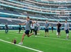 A person kicks a football on a field while a group of people watch in a large stadium.