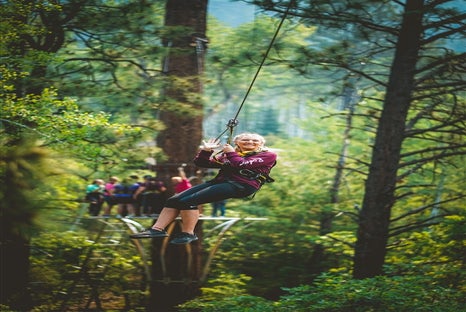 Soaring Tree Top Adventures