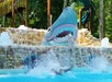 A person splashes into a pool beneath a large shark head water slide with its mouth open, surrounded by water jets and rocks.
