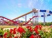 A tall water slide with red and blue tubes stands in an outdoor water park, with red flowers in the foreground and a clear blue sky above.