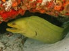 St. Augustine Aquarium in St. Augustine, FL