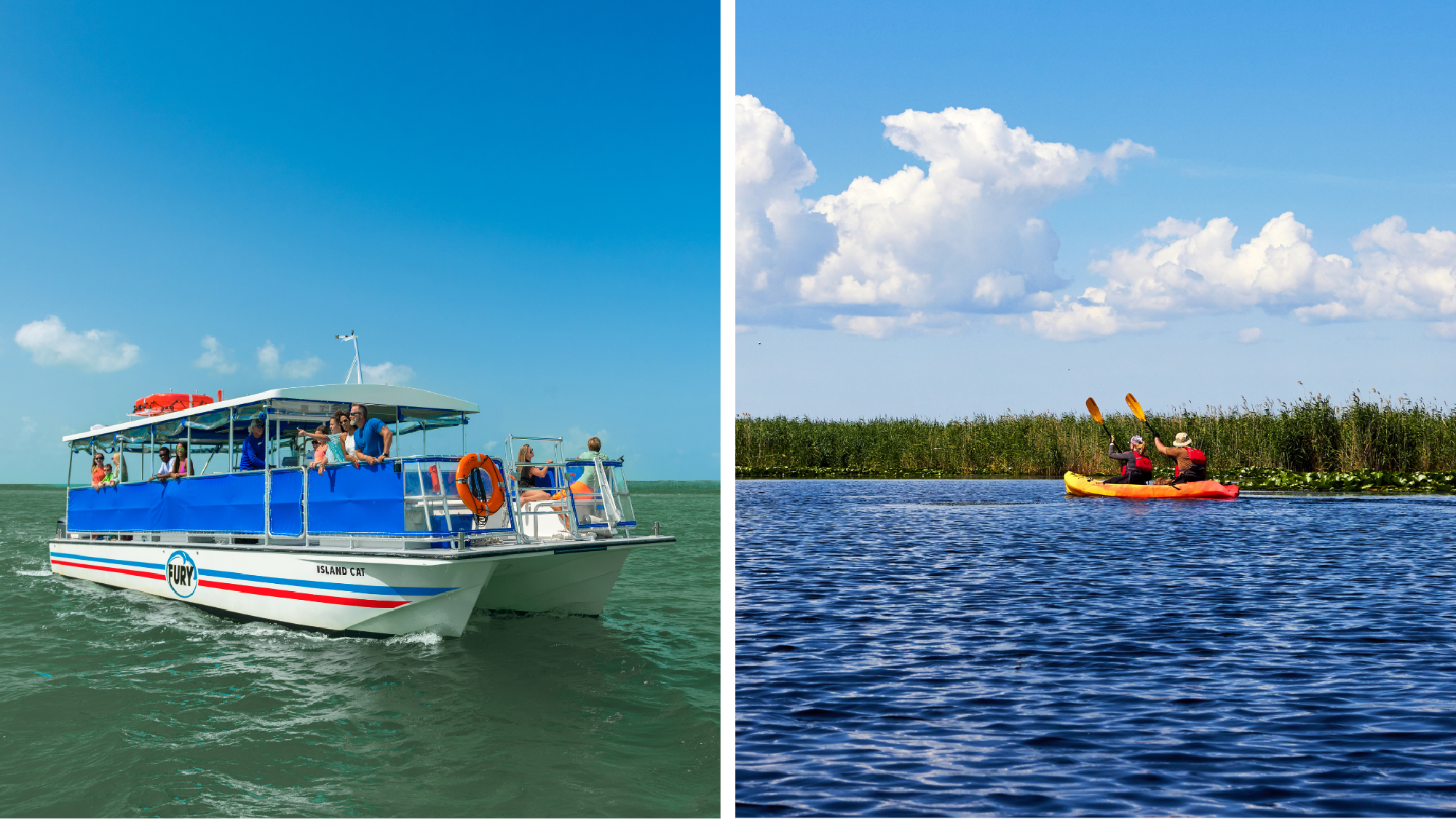Split image showing a large blue and white tour boat on open water on the left, and two people kayaking on calm water near reeds on the right.