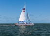 A catamaran sails on the ocean with several dolphins swimming nearby under a clear blue sky.
