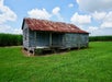 An old worn building with wooden slat walls, and a rusted tin roof on a sunny day at the Felicity Plantation in Vacherie, LA