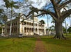 A historic two-story palace with arches and columns, surrounded by palm trees and a large, leafless tree in the foreground.