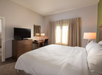 Hotel room with a large bed, nightstands, lamps, a wall-mounted TV, a desk, and a chair. Sunlight streams through a window with curtains.