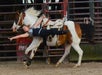 Suhls Rodeo in Kissimmee, Florida